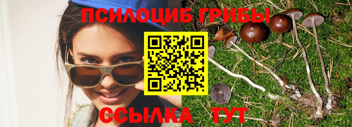 Галлюциногенные грибы MAGIC MUSHROOMS Кропоткин