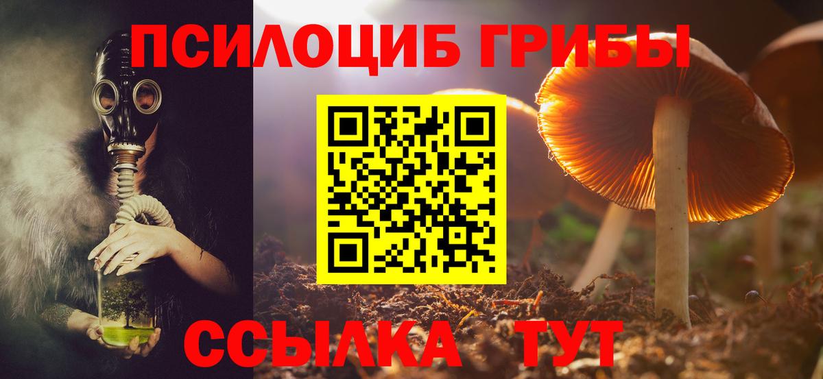 Галлюциногенные грибы прущие грибы  Псилоцибиновые грибы мицелий  Вход с VPN  Кропоткин 